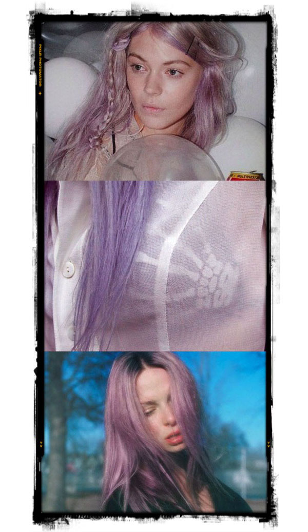lavender2