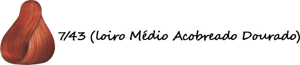 gostei-e-agora-loiro-para-ruivo-cor-743