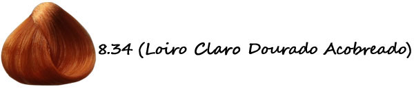 gostei-e-agora-loiro-para-ruivo-cor-834