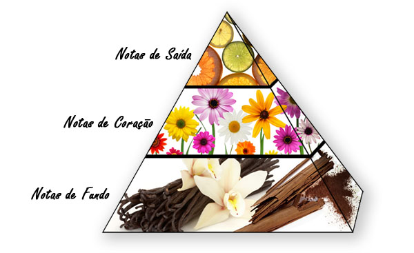 gostei-e-agora-notas-olfativas-perfumes