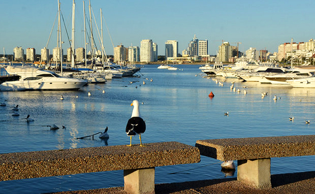 o-que-fazer-em-punta-del-este-20