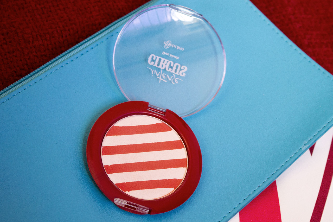 gostei-e-agora-duo-blush-intense-circus-swatch-05